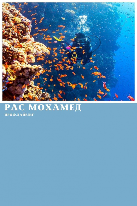 ДАЙВІНГ У ЗАПОВІДНИКУ РАС МОХАММЕД ІЗ ШАРМ ЕЛЬ ШЕЙХА (ЗА НАЯВНОСТІ СЕРТИФІКАТА)